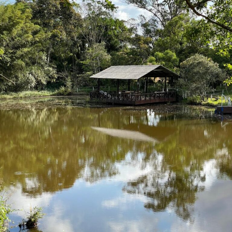 Lindo Sítio à venda no bairro Linha Batista-Criciúma