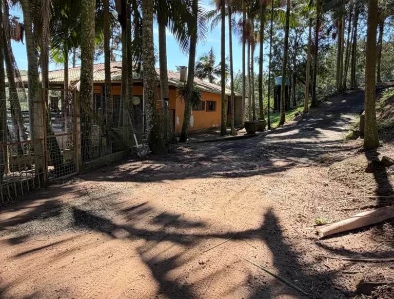 Sítio localizado na Linha Ferreira Pontes em Cocal do Sul
