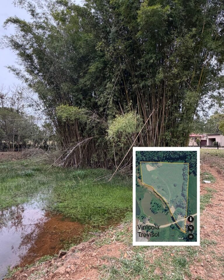 Sítio no Rio Caeté em Urussanga