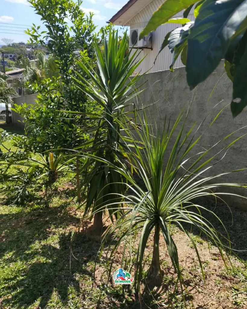 CASA EM CRICIÚMA – foto 13