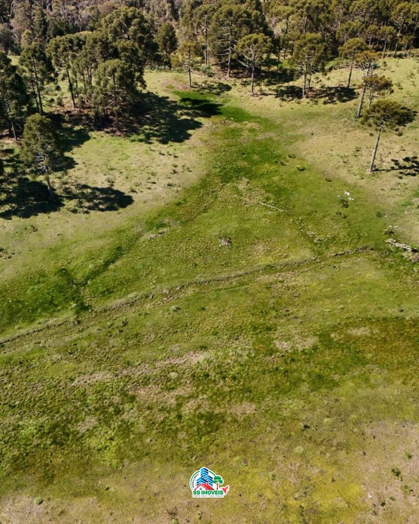 Terreno na serra Catarinense – São Joaquim – foto 10