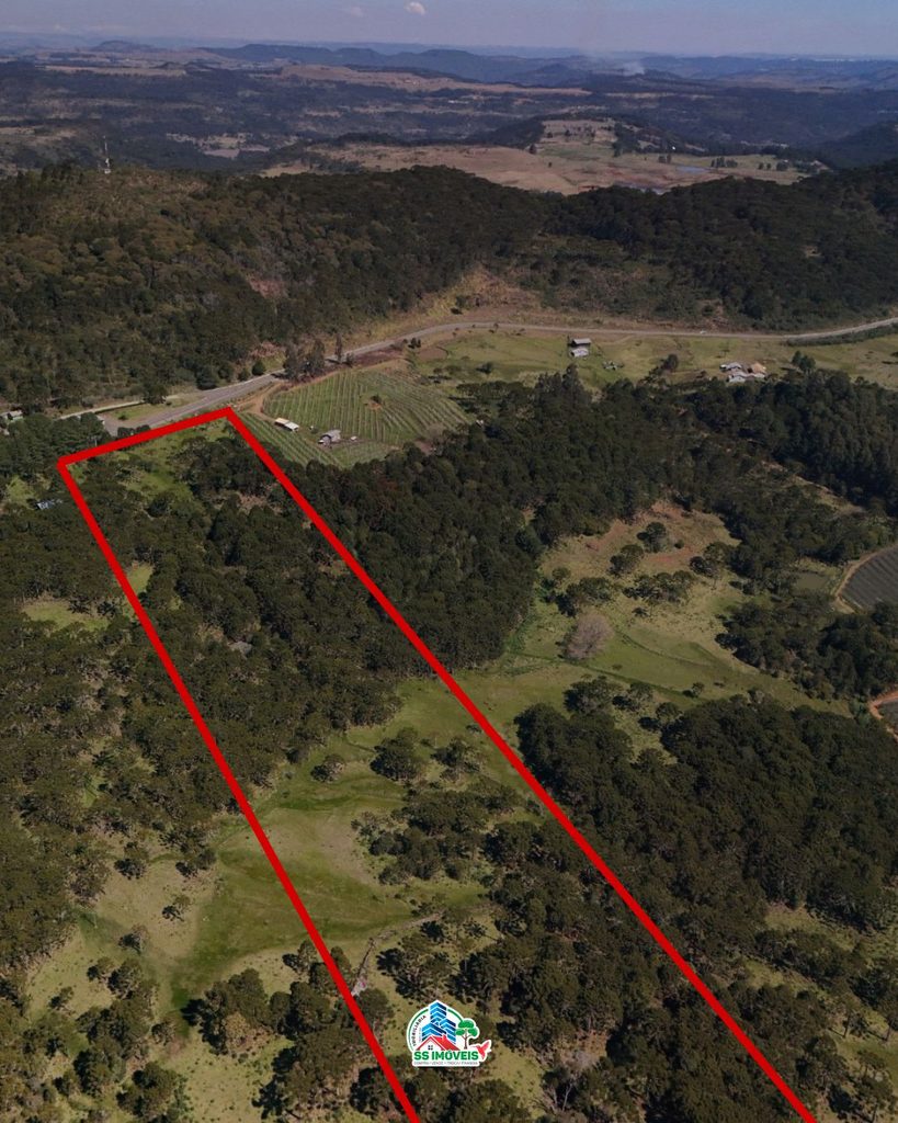 Terreno na serra Catarinense – São Joaquim – foto 3