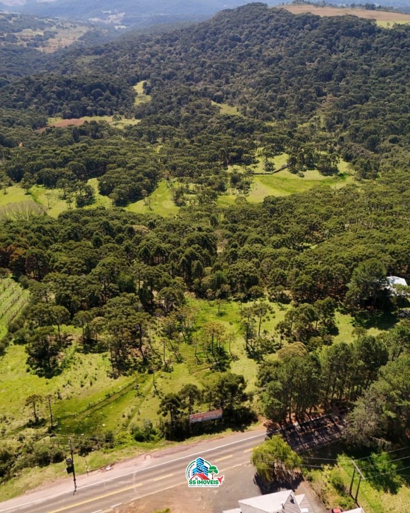 Terreno na serra Catarinense – São Joaquim – foto 5