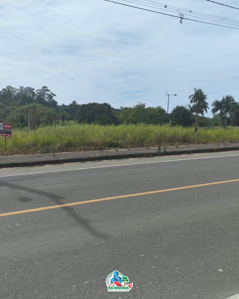 Oportunidade para investir em Cocal do Sul – Linha Cabral – foto 7