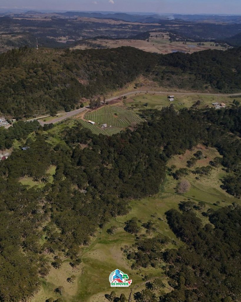 Terreno na serra Catarinense – São Joaquim – foto 7