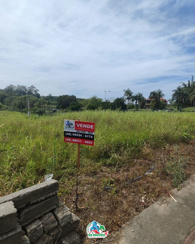 Oportunidade para investir em Cocal do Sul – Linha Cabral – foto 9