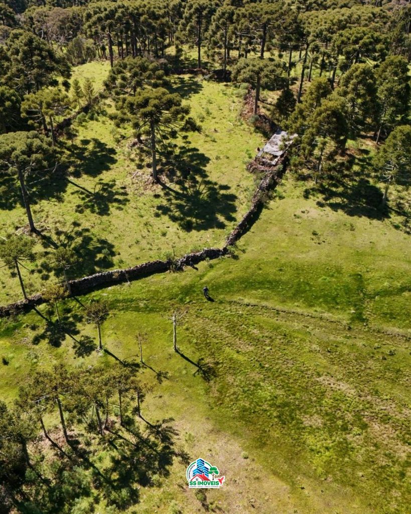 Terreno na serra Catarinense – São Joaquim – foto 9
